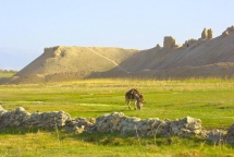 tur_2963